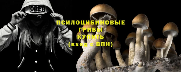 Альфа ПВП Алексин