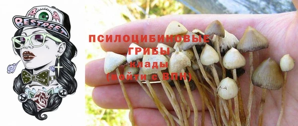 Альфа ПВП Алексин