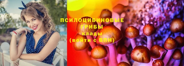2c-b Алексеевка