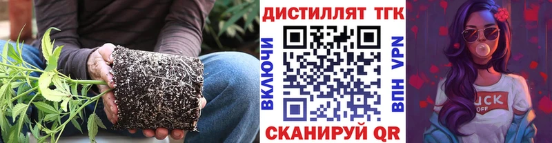 МЕГА сайт  Игра  ТГК вейп с тгк 
